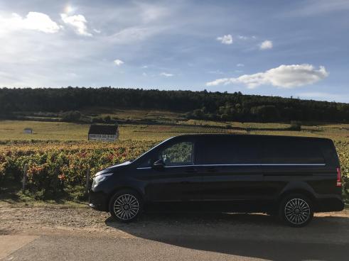 Mercedes noire dans un champs de vigne
